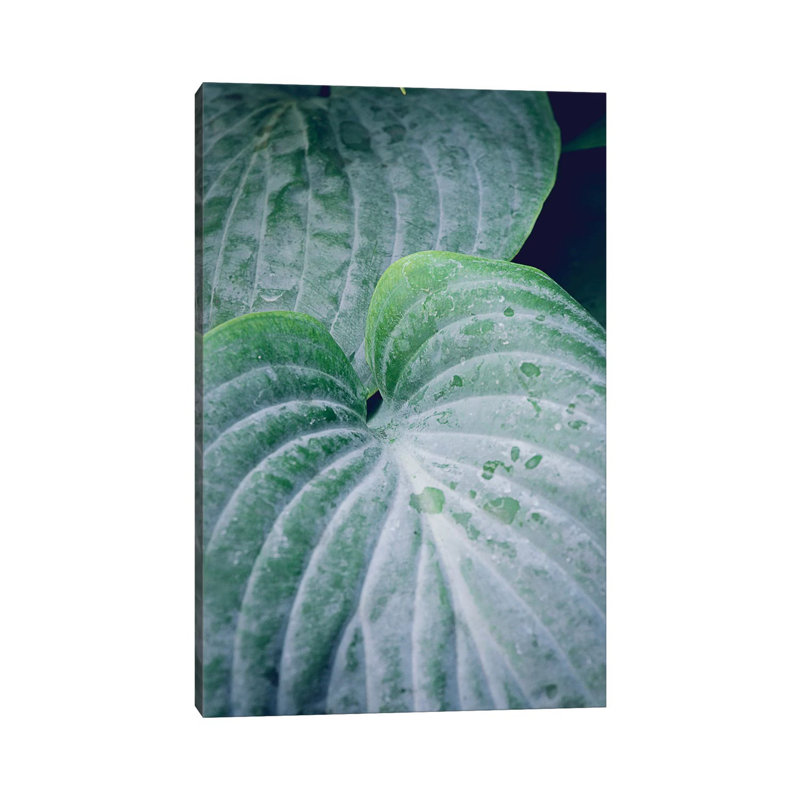 Leaves III by Olivia Joy StClaire - Wrapped Canvas Gallery-Wrapped Canvas Giclée, 30.48 cm H x 45.72 cm W