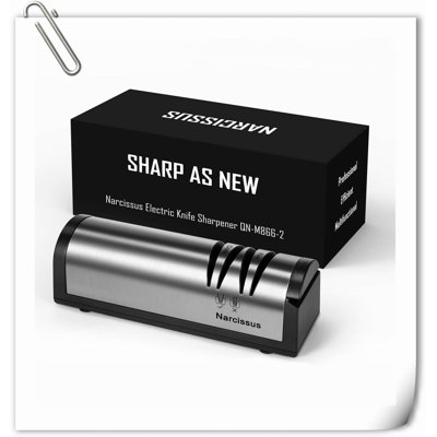 GLOBAL GIRLS LLC Electric Knife Sharpener