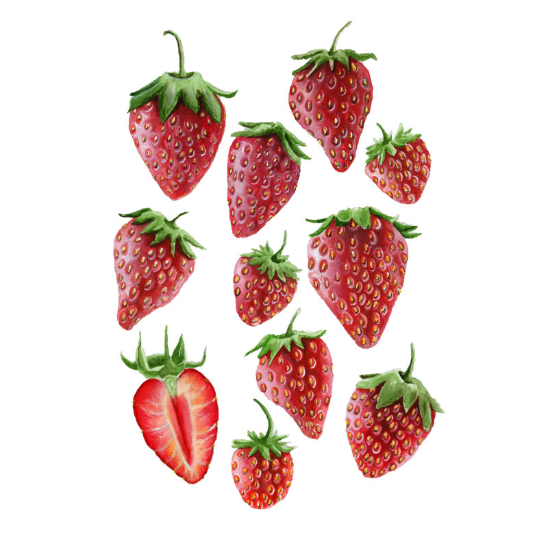 «Strawberries» par Leah Tedesco sur, Papier avec cadre simple noir, Blanc, H 30 po x l 20 po