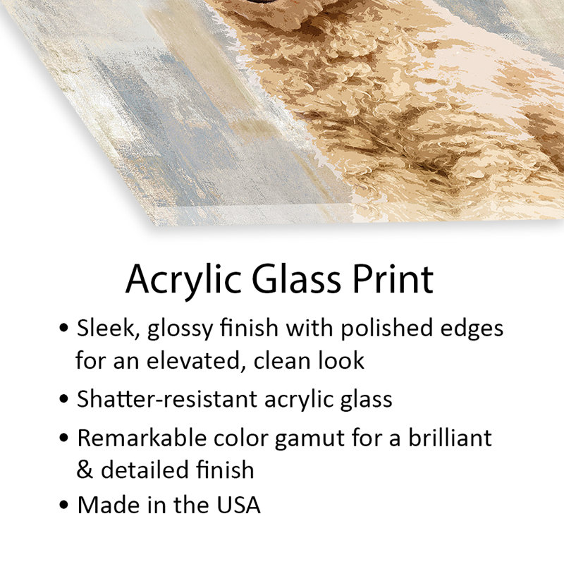 Impression de caniche sur verre acrylique, H 24 po x l 24 po x P 0,25 po