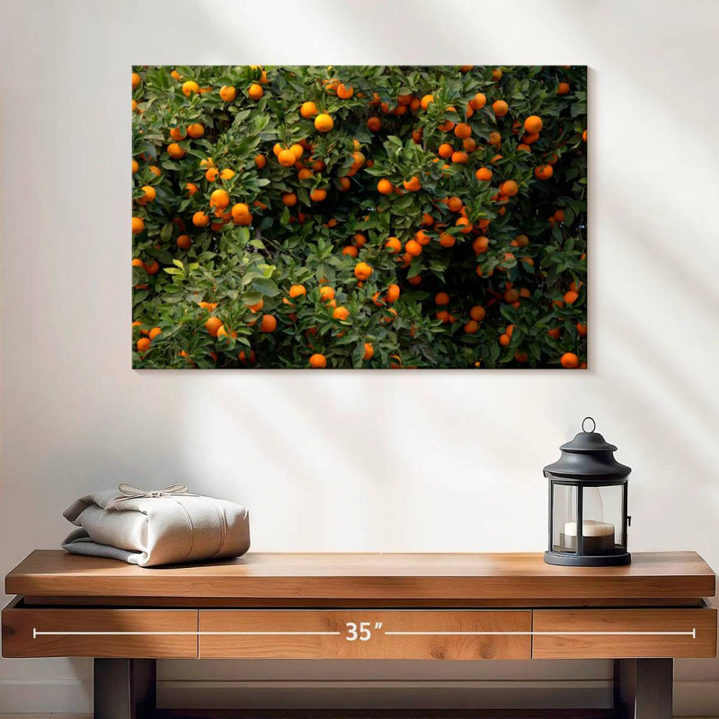 Oranges Harnek Valencia, H 16 po x l 24 po