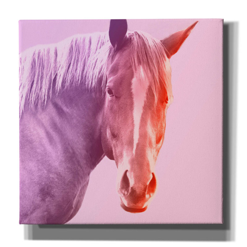 «Horse» par Mark Ashkenazi, art mural sur toile, H 37 po x l 37 po x P 1,5 po