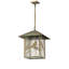 16" Square Seneca Song Bird Pendant