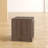Belisario 15.4'' W Nightstand