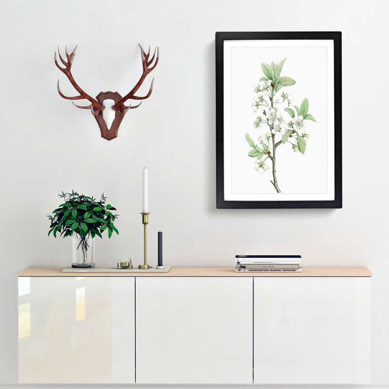 Plum Tree Flowers by Pierre-Joseph Redoute - Picture Frame Painting Print, 36cm H x 27cm W x 2cm D, Black Framed