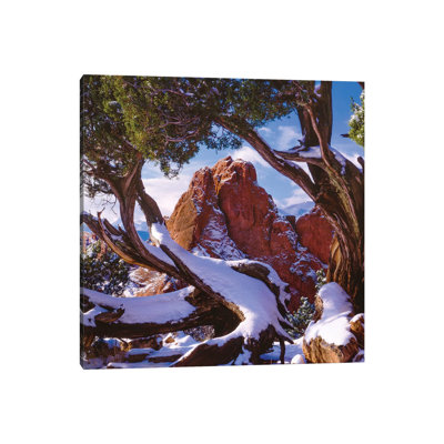Framed By Nature by Bill Sherrell - Gallery-Wrapped Canvas Giclée on Canvas