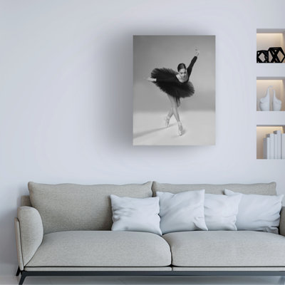Un cygne