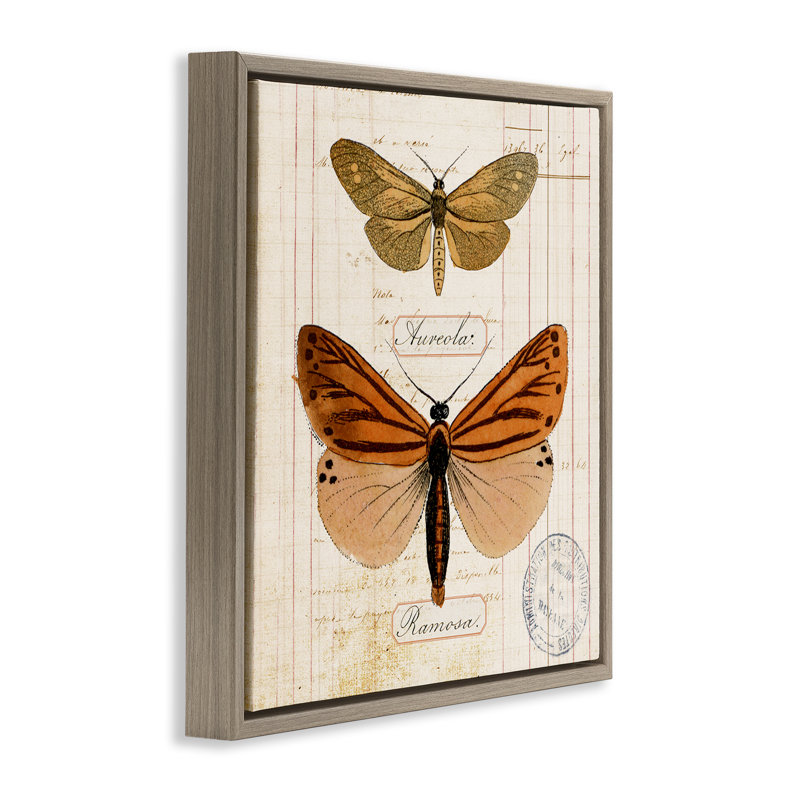  Art mural sur toile flottante, "Butterfly" par Susan Arnot, H 18 po x l 18 po, Brun