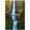 Bridge Photo 12'' x 12'' Satin Ceramic Decorative Mural
