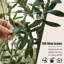 Olive artificielle avec fruit en pot de fleurs blanc, arbre topiaire en pot pour la maison et le bureau, 5/6/7/8 pieds-1400002819