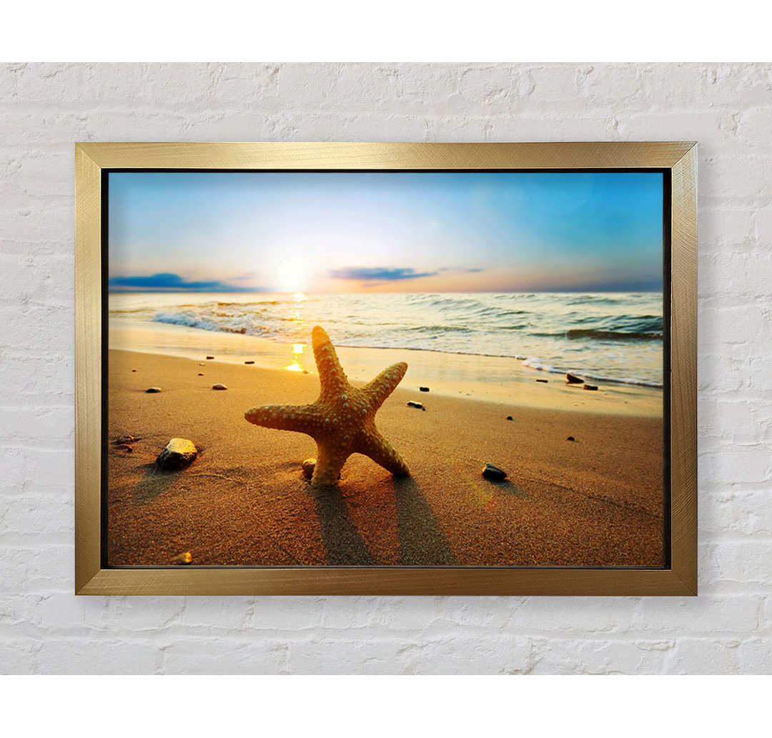 Starfish Sun Glow - Einzelner Bilderrahmen Kunstdrucke