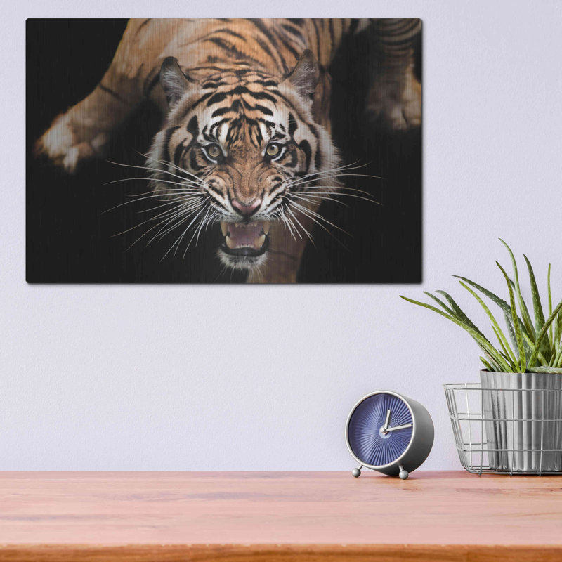 Luxe Metal Art «Nice Kitty» par Epic Portfolio Meta «Nice Kitty» par Luxe Metal Portfolio, H 12 po x l 16 po