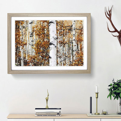 Birch Trees in Autumn - Framed Print