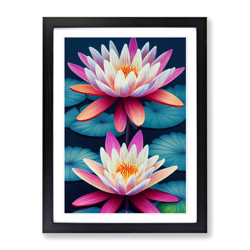Water Lily Flowers - Single Picture Frame Print, Black, 64cm H x 46cm W x 2cm D