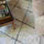 Customer photo 2 of 2
