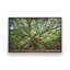 «Angel Oak Tree in Charleston» par Martin Podt, reproduction d'art-1545150328-1545150329-1545150331