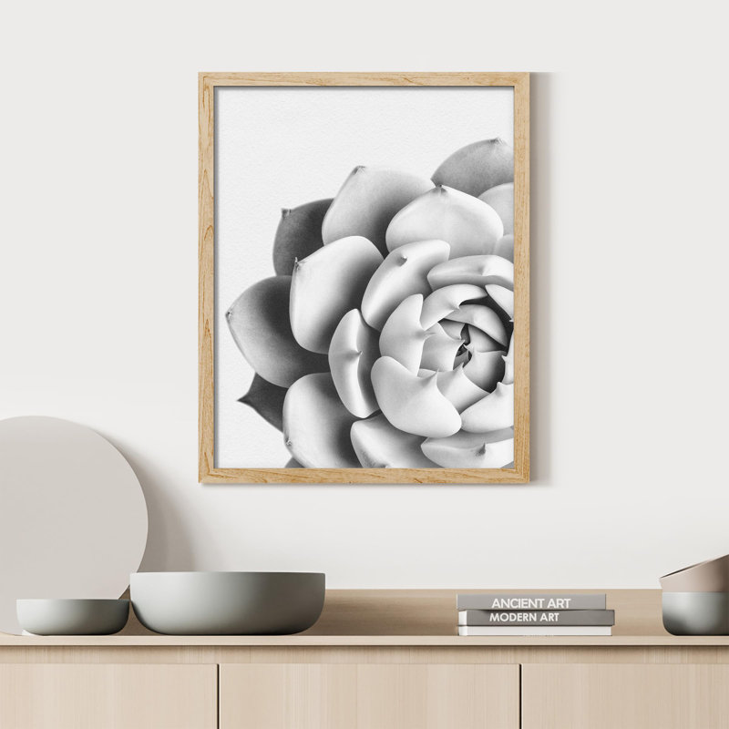 «Succulent Cactus Black and White Rosebud Gros plan» sur papier, H 10 po x l 8 po, Naturel