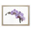 Purple Orchids In Bloom - Single Picture Frame Painting on MDF-56627833-56627838
