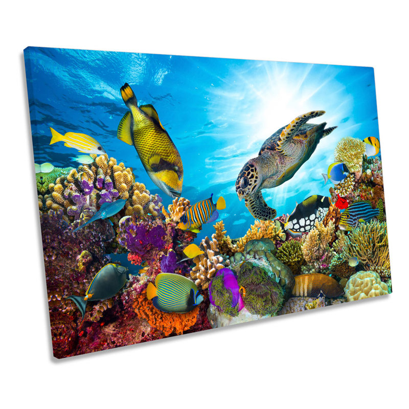 Marine Fish Corals - Wrapped Canvas Print, 81.3cm H x 121.9cm W x 4cm D