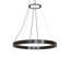LED Pendant