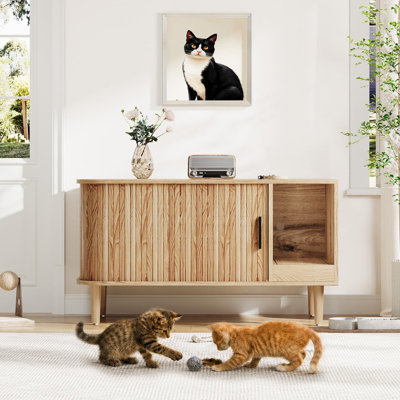 Sliding Door Cat Litter Cabinet, Modern End Table with Storage