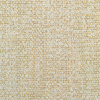 Beau Monde Prints And Wovens Fabric