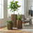 Hexagon Column Planter SM - Medium Brown-1464327418-1464327423