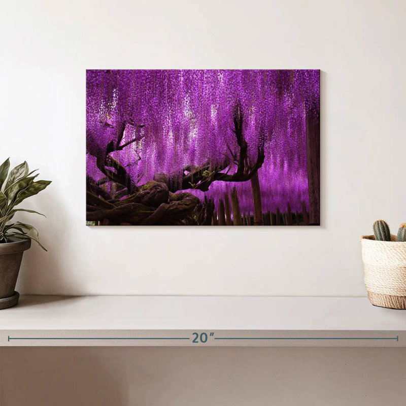 Saule Harnek Wisteria, H 8 po x l 12 po