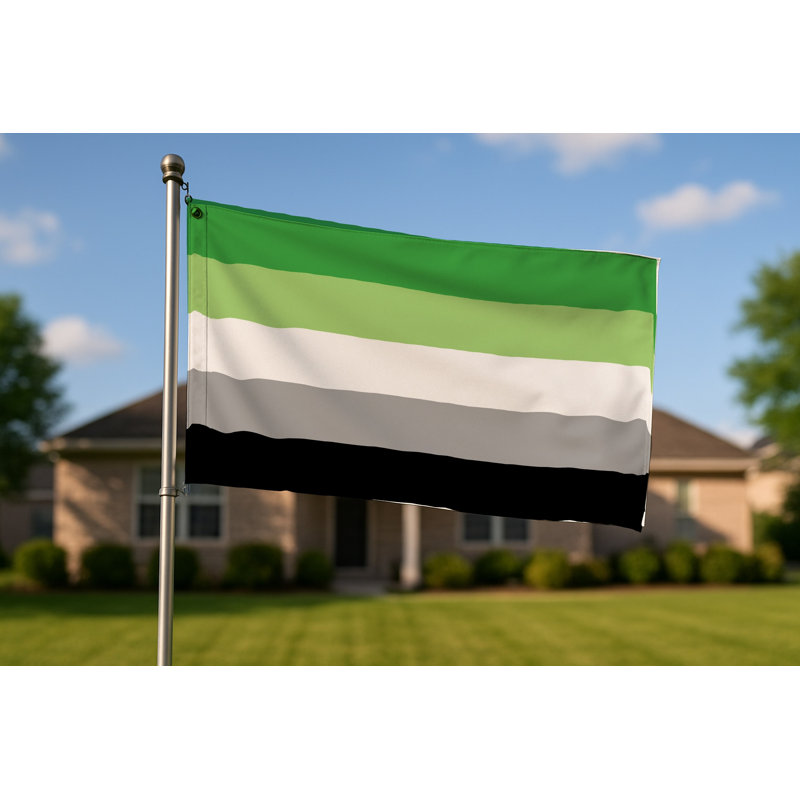 Drapeau de la fierté aromatique - Drapeau