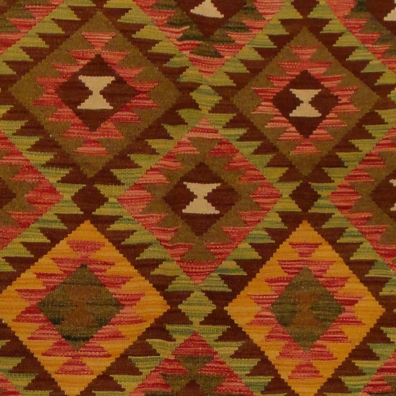 Azpeitia Wool Southwestern Indoor Rug