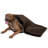 Pet Blanket-38627401-38627404