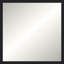 Kempton Solid Wood Mirror-302507424-302507427