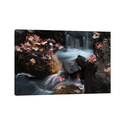 USA, Maine. Autumn leaves along small waterfall on Duck Brook, Acadia National Park. 1 Piece Wrapped Canvas Wall Art