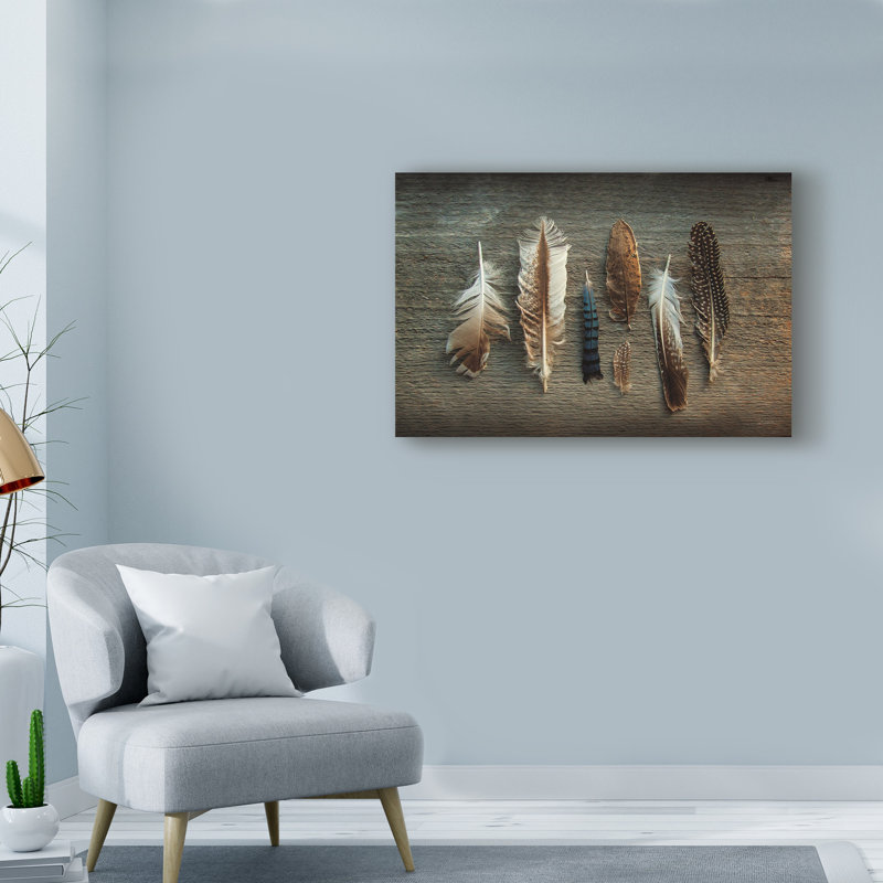 «Feather Collection I», reproduction d'impression sur toile tendue, H 12 po x l 19 po x P 2 po