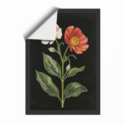 Twin Blooms Botanical - Framed Print