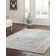 Edson Oriental Indoor Rug