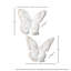 Papillon Alfia-285728735