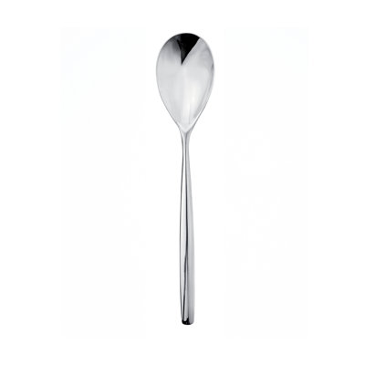 Stiria Stainless Steel Serving Spoon