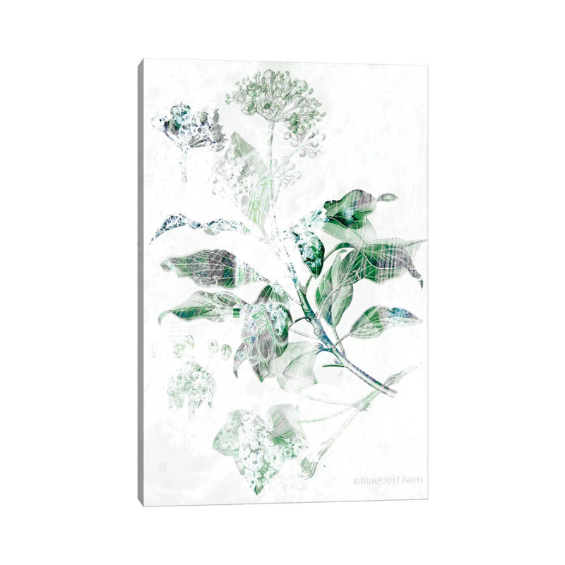 Verbena Botanical by Bluebird Barn - Wrapped Canvas Painting, 101.6 cm H x 66.04 cm W x 3.175 cm D