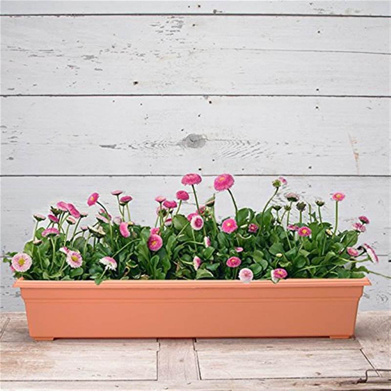 Kivon Window Box Planter, Clay, 6.56" H x 7.5" W x 36" D