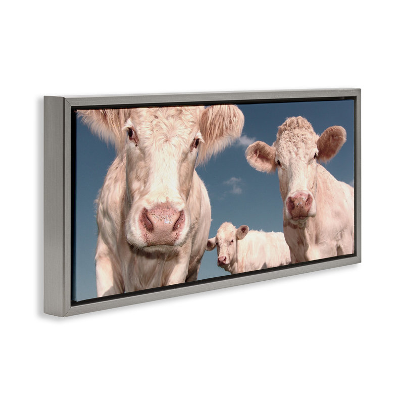 Trois vaches, Cadre flottant gris lustré, H 11 po x l 25 po