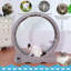 Roue de 39 po pour grand chat-1762470014