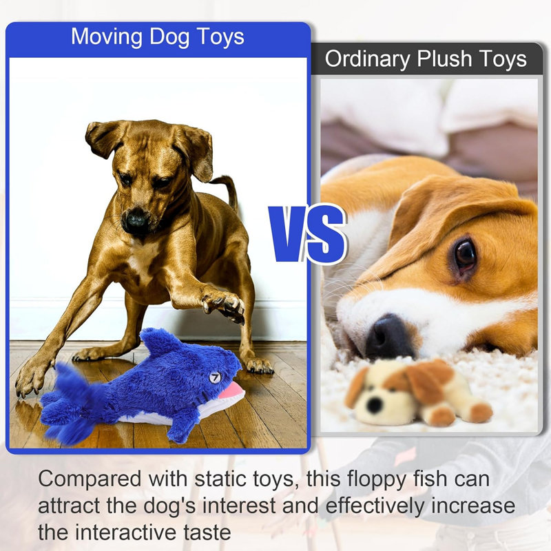 Jouet interactif pour chien Shark