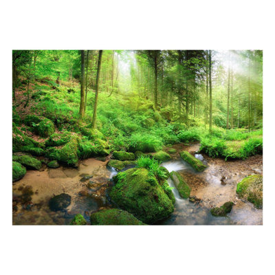 Murale forêt humide Ezrie