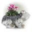 Pot de fleurs statue magnesia grenouille Willacoochee