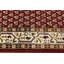 Tapis rouge Indo-Botemir-864846697