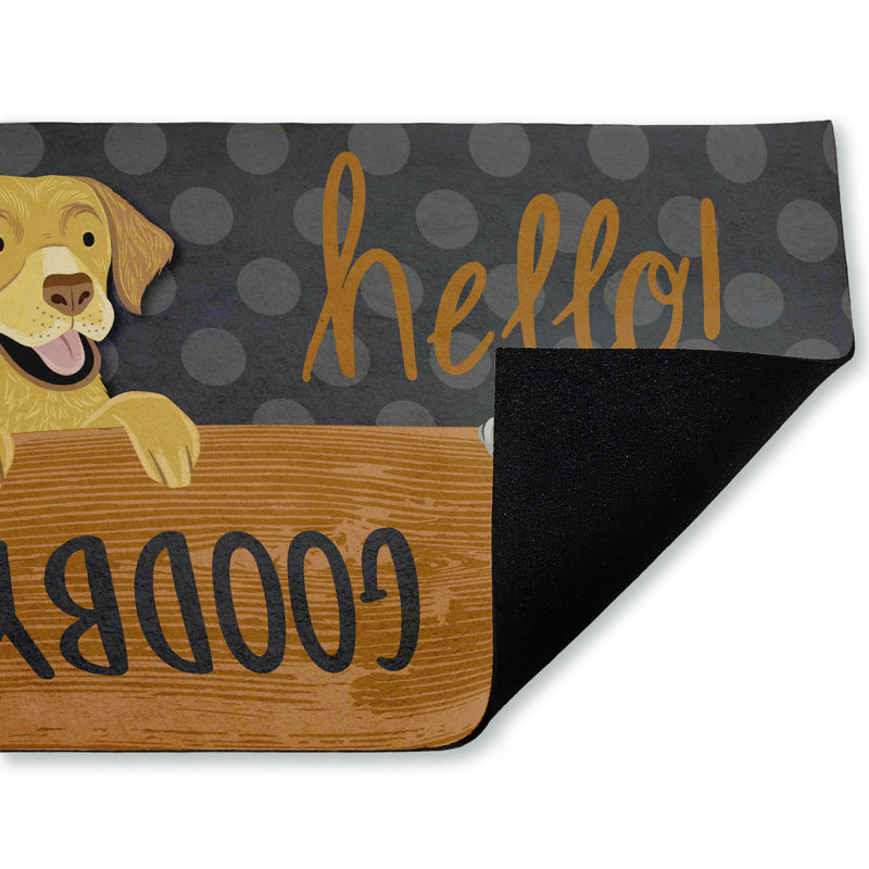 Tapis de porte d'extérieur Hello Goodbye