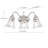 Virgouda 3 - Light Vanity Light
