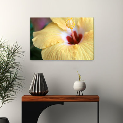 Hibiscus délicat, élégant, fleur d'hibiscus tranquille, art naturel