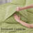 Ultra Soft Bamboo Sheet Set - 4 Pc Set - Wrinkle Resistant - Cooling Sheets with Deep Pockets-108247554-78635163